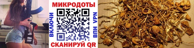 наркошоп  Кемерово  Псилоцибиновые грибы Psilocybe 