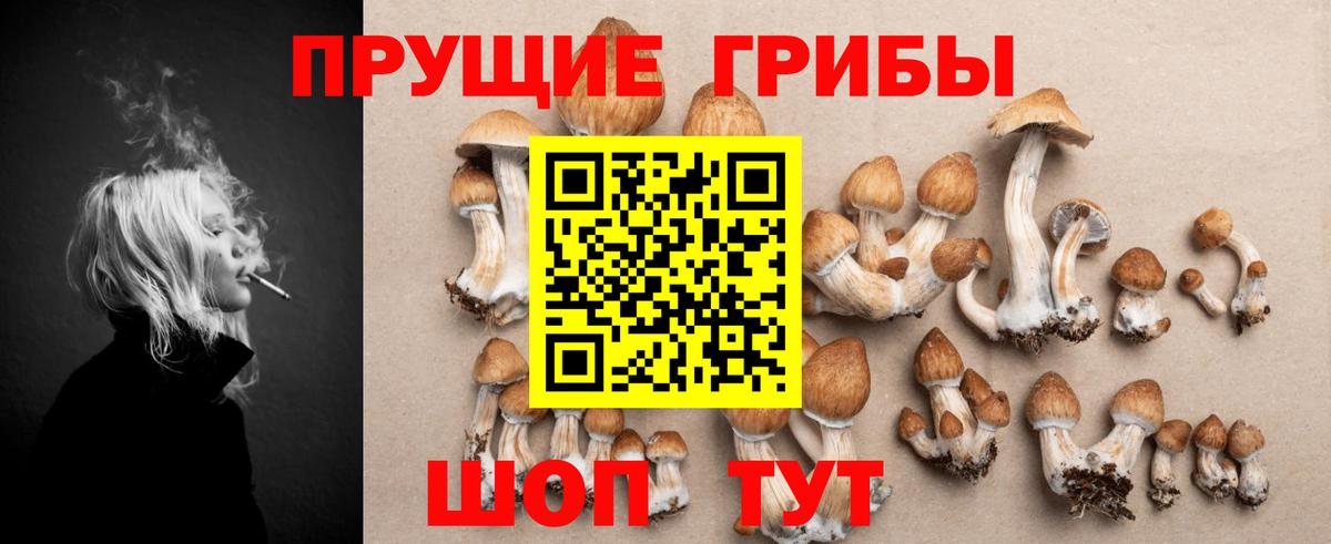 Кемерово  Галлюциногенные грибы Magic Shrooms  Вход с VPN 